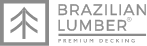 Logo_Brazilian_WEB