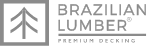 Logo_Brazilian_WEB